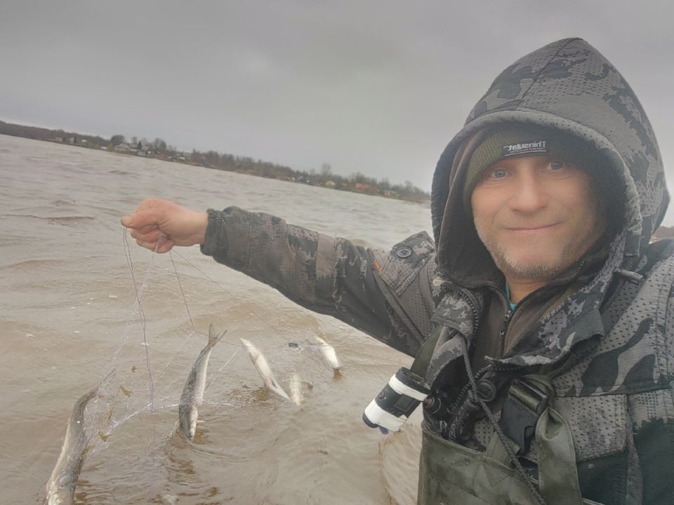 ������ ��������� ���� � 2025 ����: �������� ������� �������