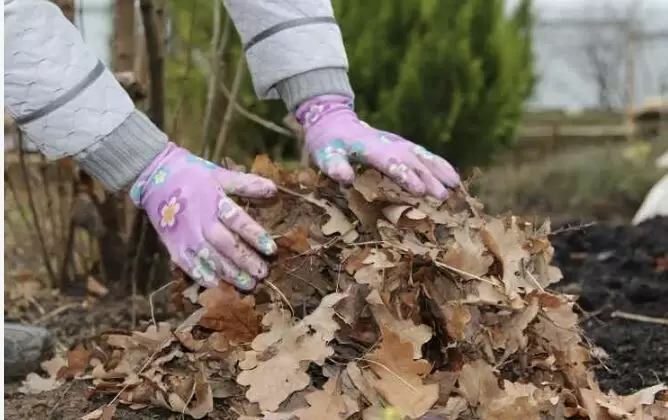 Забота о зимовке многолетников: какие материалы выбрать для утепления корней
