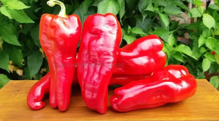 Перец Голиаф: идеальный выбор для огорода с мощными и вкусными плодами