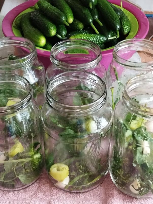 ��������� ������ ��������� ������������ ������� ��� ��������� ���������������