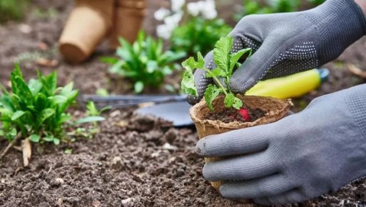 ���������� ����� ��� ������ ������� �������: ���������� �������� ��������������