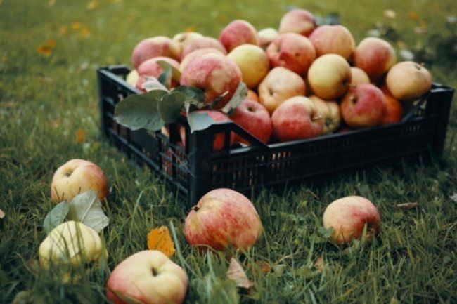 ������ �������� ������ �� 15 �����: ��������� ������ �� ������ �����