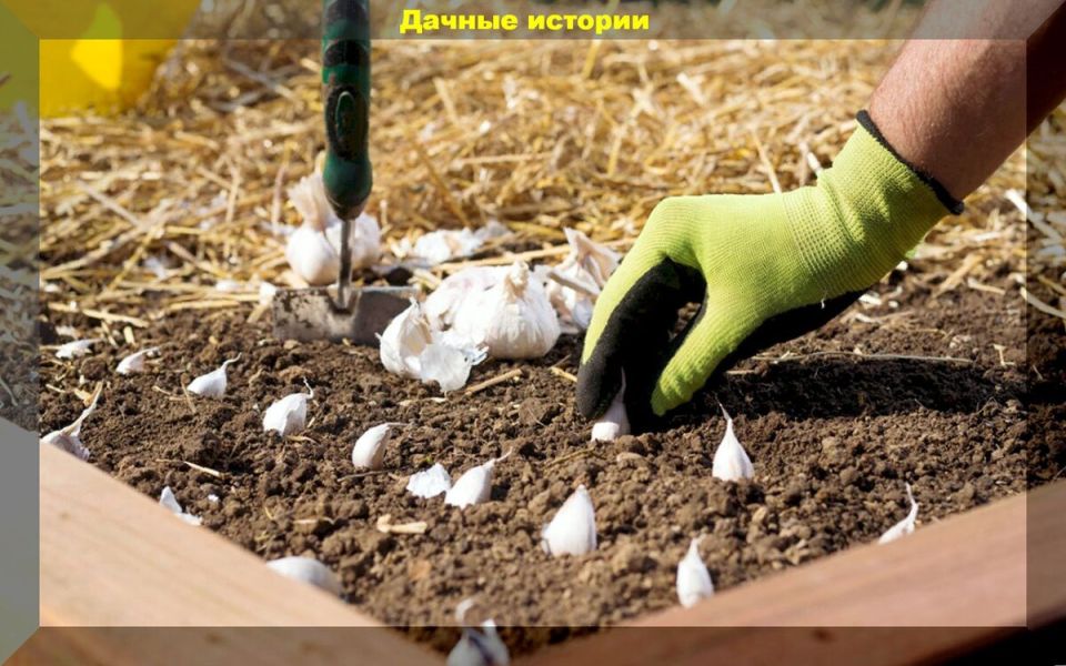 ������� ������� ��� �������� ������� �������