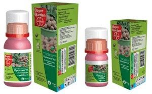 ����������� ������ ���������: �������� �������� ������ ������������ ����