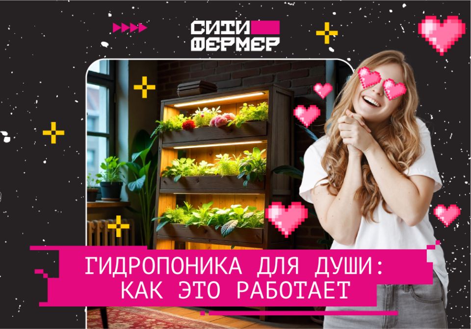 ��� ����������� �������� ����������� �� �������� � ��������