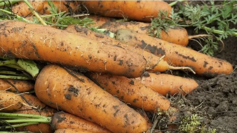 ��������� ������ ��� ������� ������ �������: �� ������ �� ������������� ������