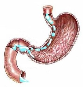 Правила питья: как и когда напитки влияют на пищеварение