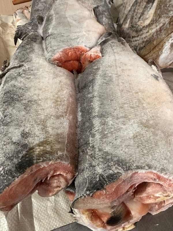 ����� ���������: ������ ����� ������ �� 900 ������ �� ���������