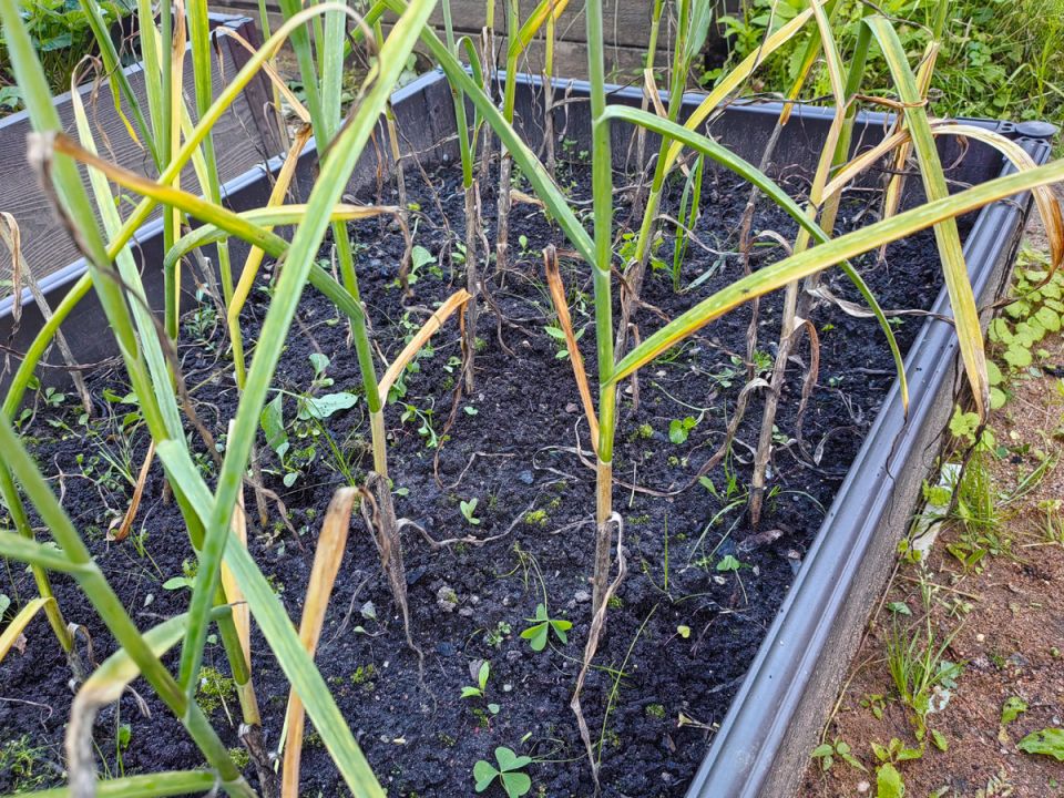 ������������ ������ �� ����� ���� � ������� � �������� ���������� ���������