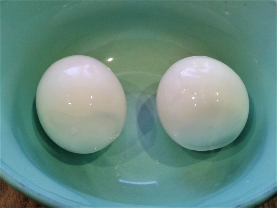 �����, ������� ������ ���: ������� ������ � ������������ ���������