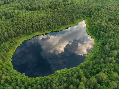 Минус материальное, плюс счастье: уроки пяти лет минимализма