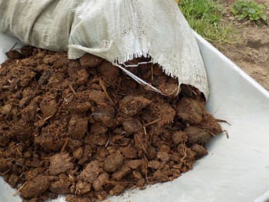 Конский навоз как источник богатства для вашего сада