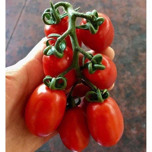 ����� ����� ����: ������� ������ ��� ����� ����