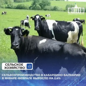 ������������������� � ���������-�������� � ������-������� ������� �� 2,4%