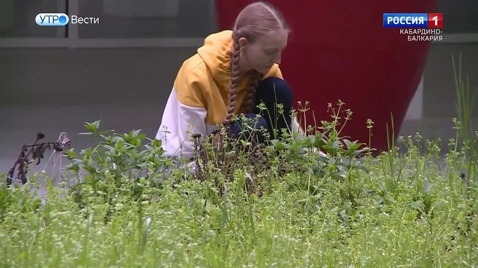 ���������-�������� ������������� � ������������� ������ ����������� ��� �� �������