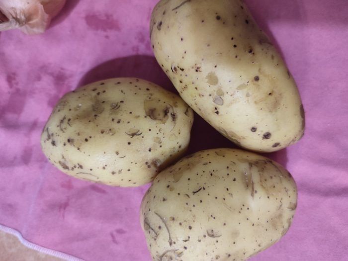 ��������� ����������: �������� ���� ��� ������ �������