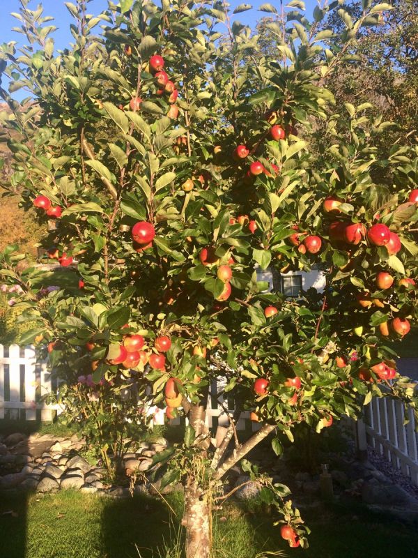 ������� ������� ������ � ������ �� �������: ��� �������� �����