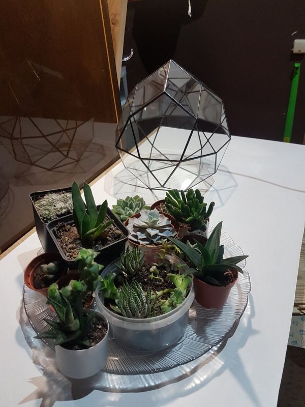 ������ �� ��������: �������� ����� � ������ ���������