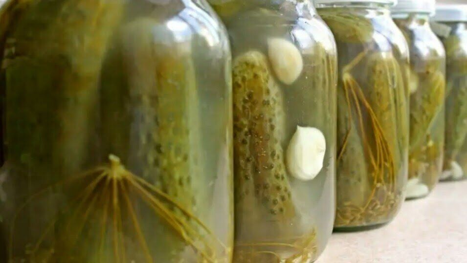 ����� ��������� ������������ �������: 3 ������� �������� ��� ������ � ��������