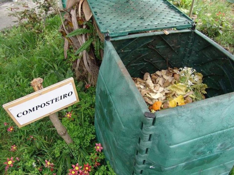 ��� ������� � ����� ���������� ����: ������� ���� ��� ����������� ����������