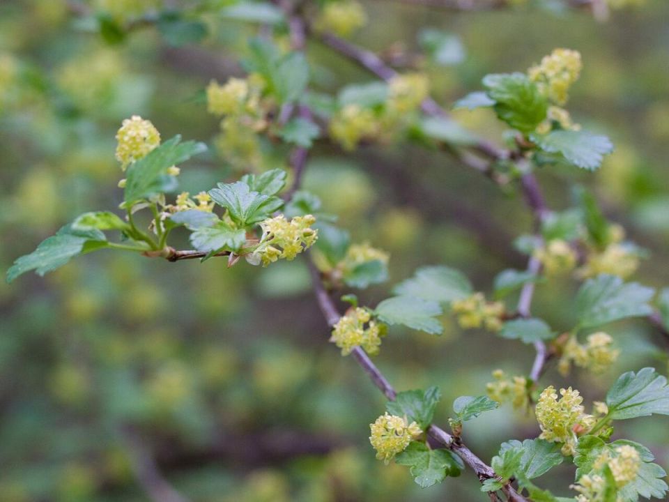 ������ ����� ��������� �������� ����� �������� � ��������� ������������