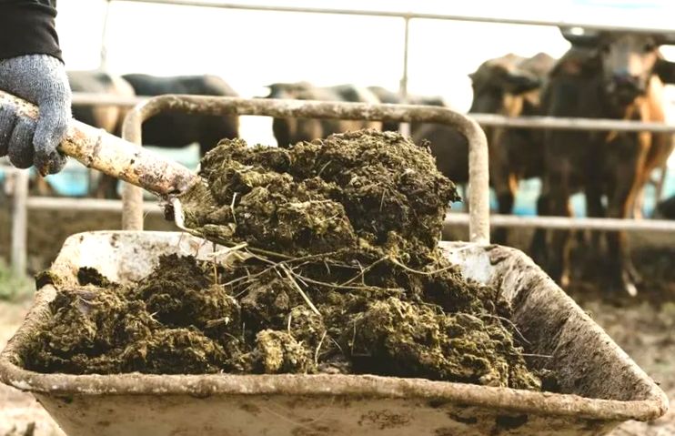 ��� ������ ����� �������� ����������� ��� ������: �������� ������� ������ �������