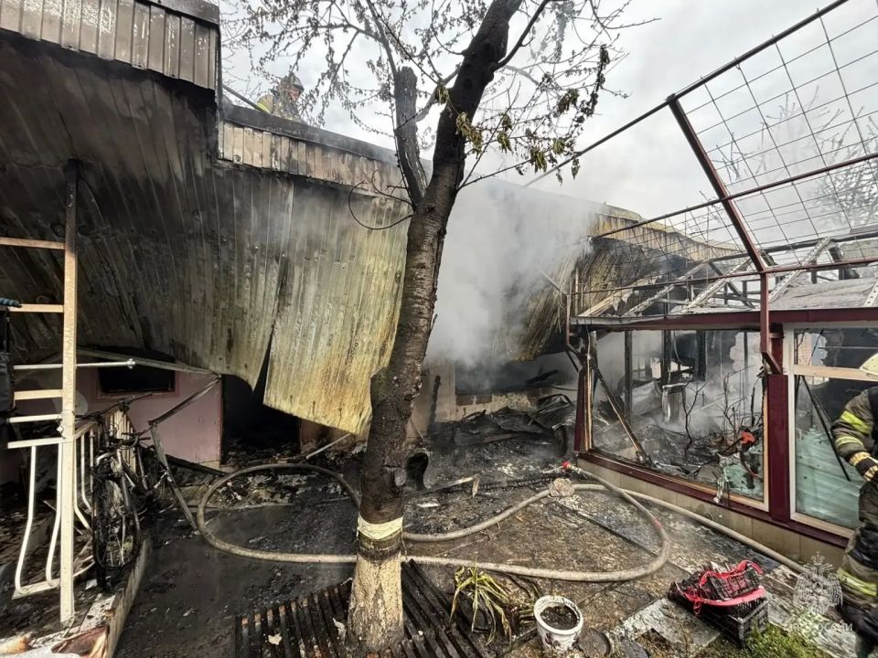 ����������� ��� ������ ������������ ����� � ��������