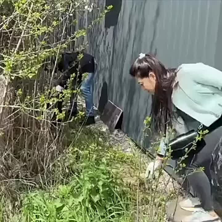 � ������ ��������� �� ��������������� ������� ���������� ������������ ������� ������������� �.�. ������� ������������ ������ �� ��������������� ����������