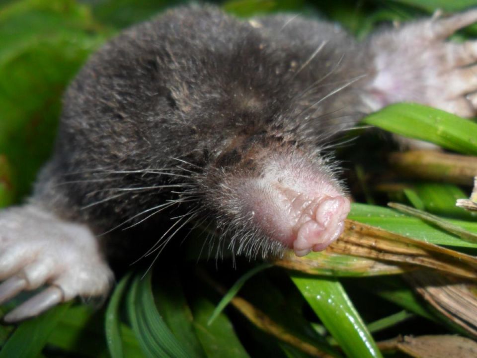 ��� ���������� ���������� �� ������ �� ����: ����������� ������ ��� �������� � �����