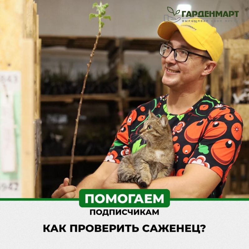 ����������� ����� ��������: ��� ������, ��� �� �� �� ����� ����?