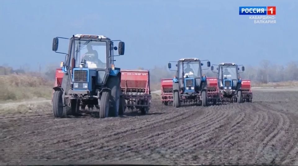 ����������� ���������-�������� ���������� � �������� �������� �� �����