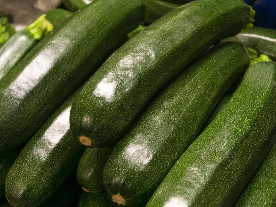 ������� ��� ������: ���� ������ � ������ ������� � ������������ ��������