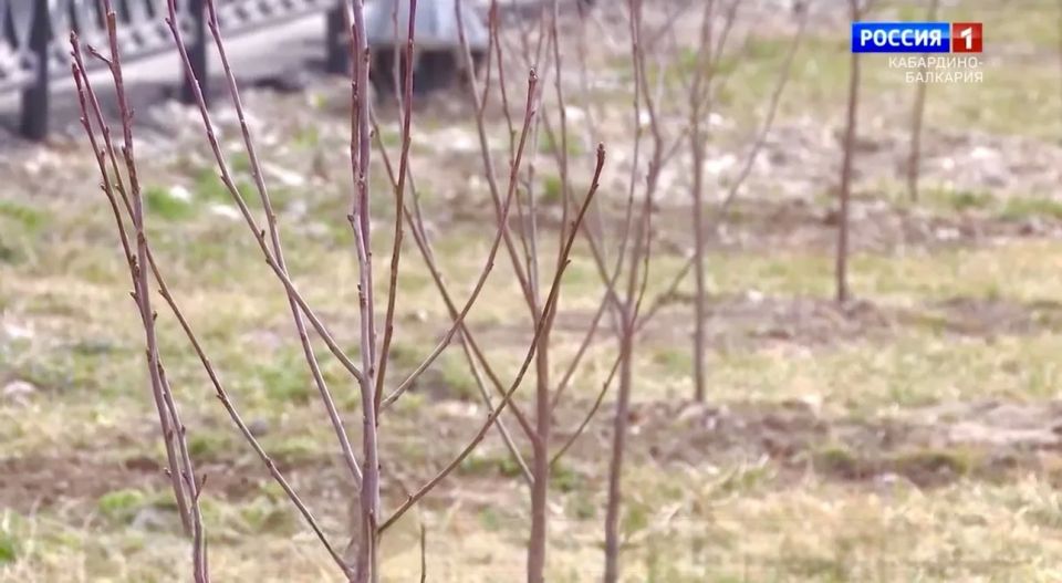 � ������ ���������� ���������� � ��������� ������������� ����� ���� � ����� ���������