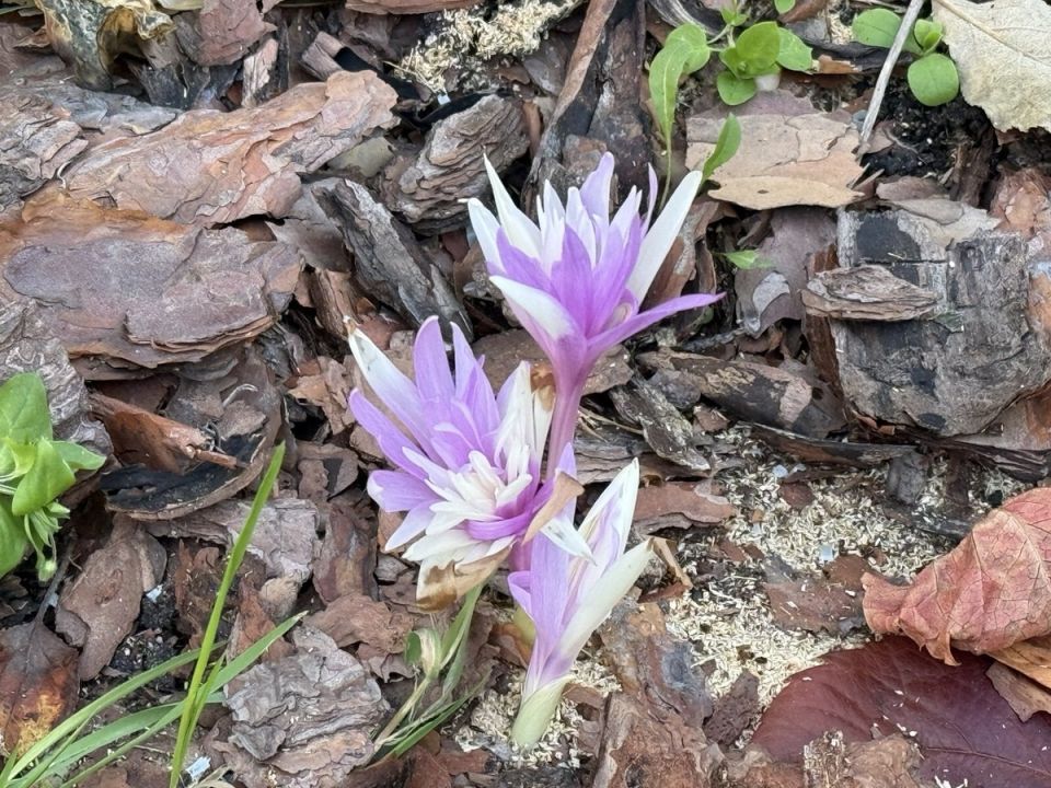 ������������ �������� � ����: ������������ � ������� ������ � �������