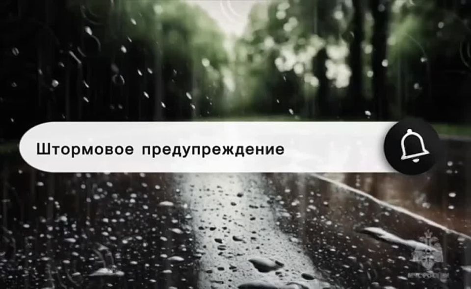 ��� �����������. �� ������ ��������������, 22�25 ������ � ��� ������� ��������� ����� � ������ ������, ������ � ��������� � ������, ������� ������ 20�25 �/�, �� ����� ��������� ��������� ������� ���� ������� ��...