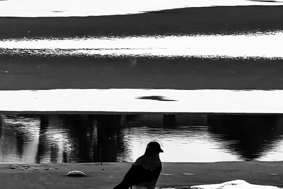 ���� ���������� ������ �������� �� ���������-�������� � � ���������� �������� ��� ������ �������� ������