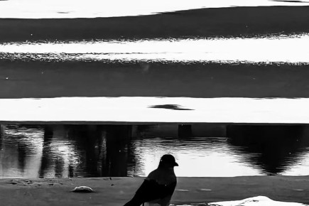 ���� ���������� ������ �������� �� ���������-�������� � � ���������� �������� ��� ������ �������� ������