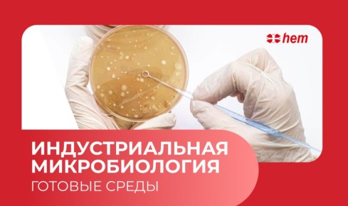 ������ ������� �� ������� ������������� ����� ��� �������