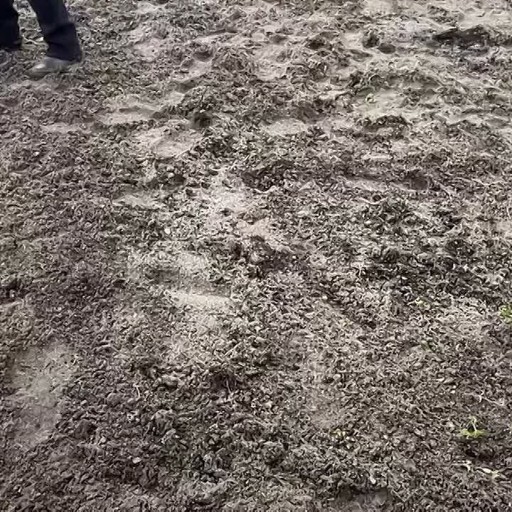 �� ����� ����������� ������������� ����������� �������� ��������� �� ������ ��������������