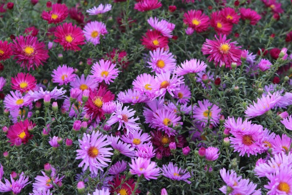 ����������� �����: ��� ������� ��������� ����� ��� ������ ����