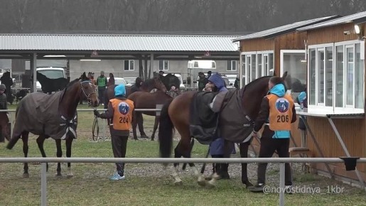 � 25 �� 26 ������ � �����-���������� ��������� "������� ������" ������� ������������� ������������ �� ��������