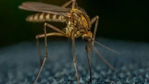 ����������� ������� ������ �� ������� �� ���� � ��������� ��������