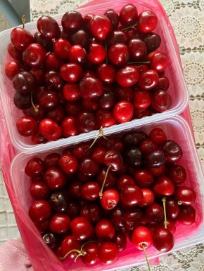 ��� �������� ���� �� ������ ��������: ��� ����������, � ��� ����� ���������