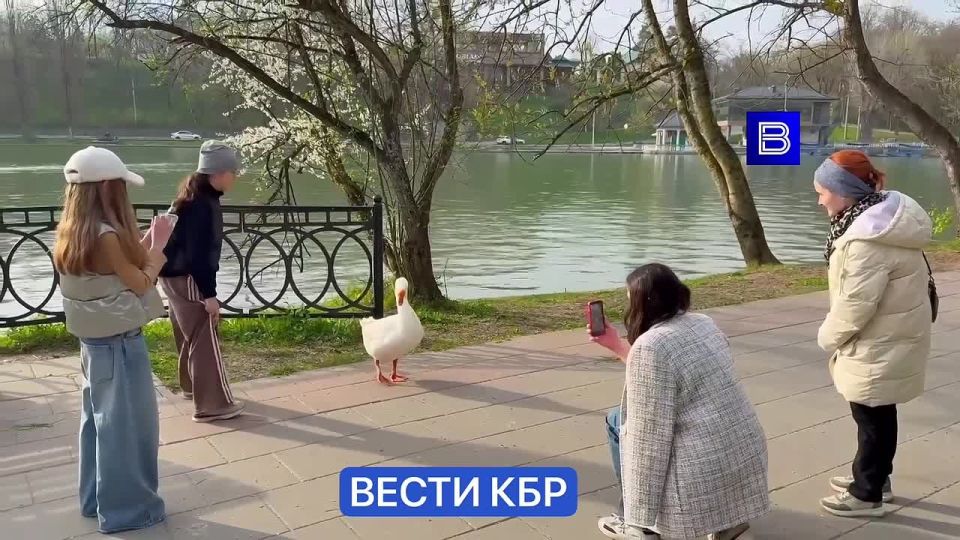 � �� ��� ������ ����� � ������������ ����? ��� ������ ��������� �, �������, ��������� ���� ����� ��� ����