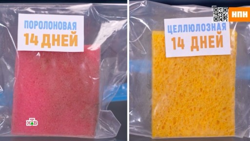 ����������� vs. ����������� �����: ��� ������� ��� ��������� �������?