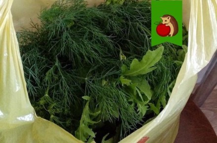 ��� ��������� ����������� ������ �����: ������� ������� �����