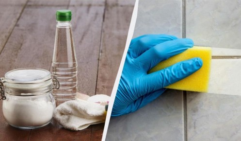 �����������, ������� ������ ������� �������: ��� �������� �����������