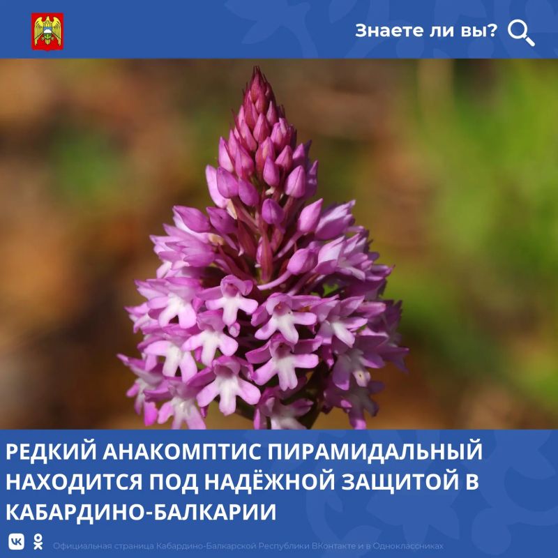 � ���������-���������� ���������� ������ �������� ��������� ���������� ������ �������������� �����