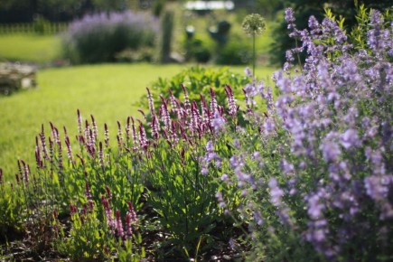 ����������� ����: ������ ����� �������� ��������������