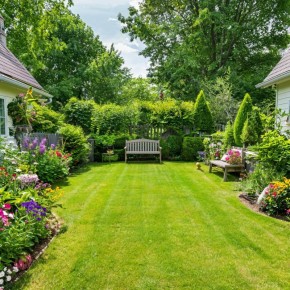 ������������ �����: ���� ������� ��� �������� ����?